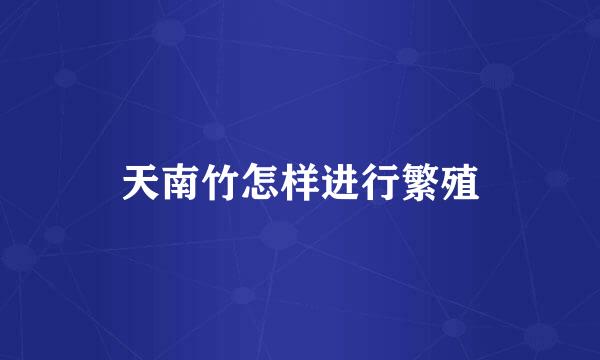天南竹怎样进行繁殖