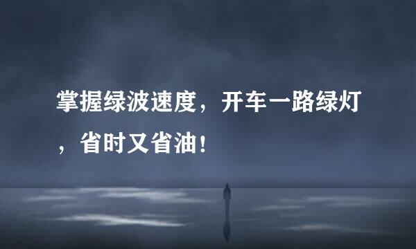 掌握绿波速度，开车一路绿灯，省时又省油！