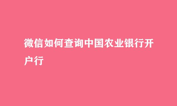 微信如何查询中国农业银行开户行