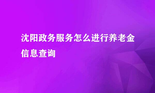 沈阳政务服务怎么进行养老金信息查询