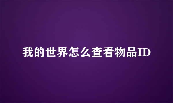 我的世界怎么查看物品ID