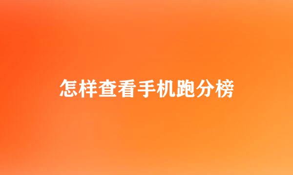 怎样查看手机跑分榜