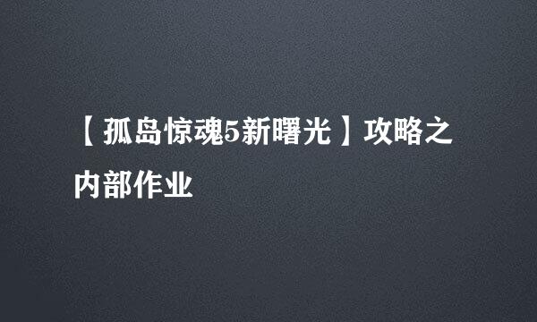 【孤岛惊魂5新曙光】攻略之内部作业