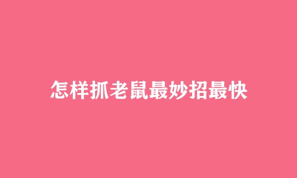 怎样抓老鼠最妙招最快
