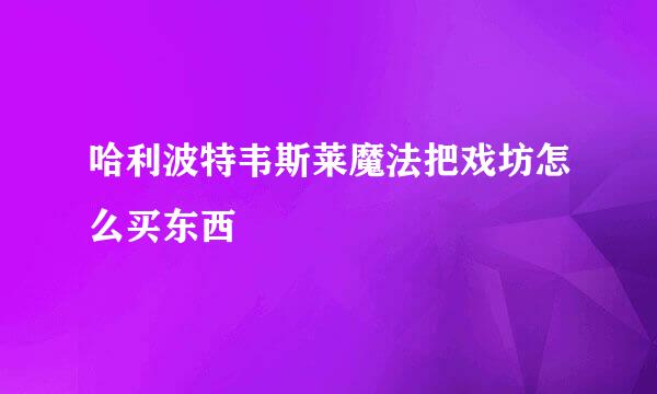 哈利波特韦斯莱魔法把戏坊怎么买东西