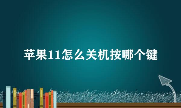 苹果11怎么关机按哪个键