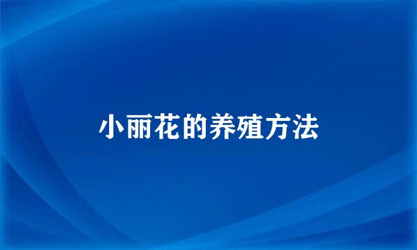小丽花的养殖方法