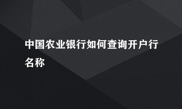 中国农业银行如何查询开户行名称