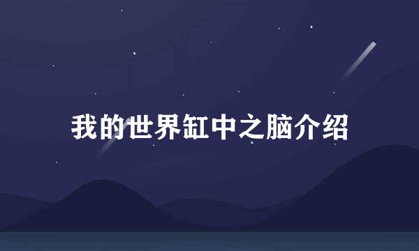 我的世界缸中之脑介绍