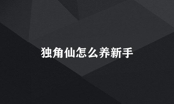 独角仙怎么养新手