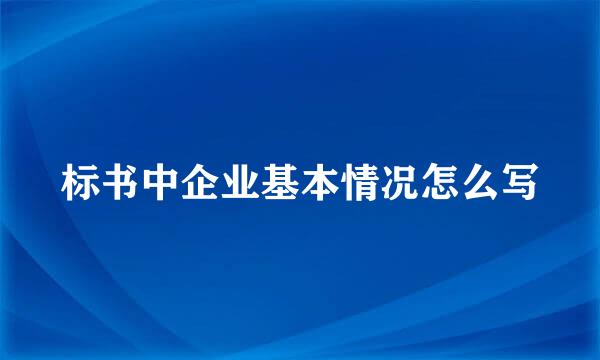 标书中企业基本情况怎么写