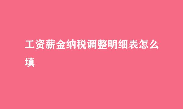 工资薪金纳税调整明细表怎么填