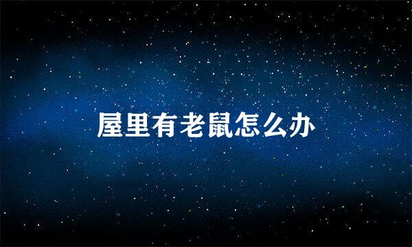 屋里有老鼠怎么办