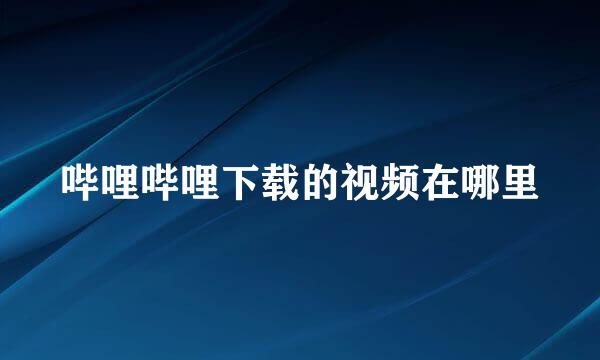 哔哩哔哩下载的视频在哪里