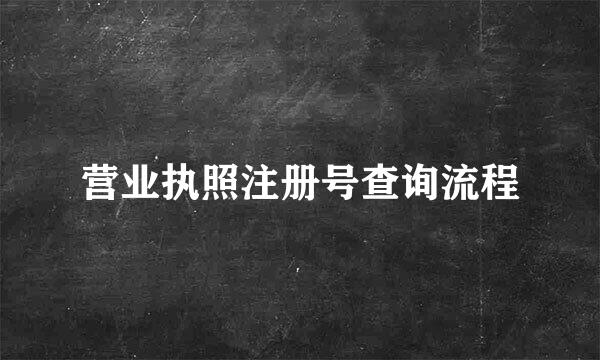 营业执照注册号查询流程