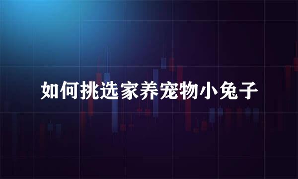如何挑选家养宠物小兔子