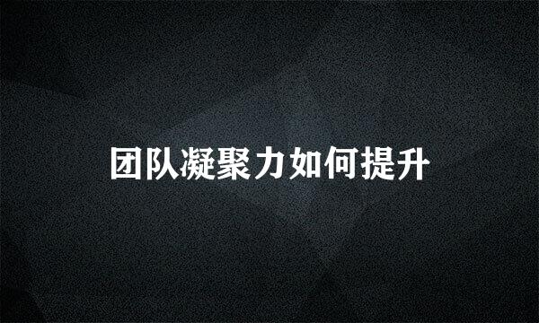 团队凝聚力如何提升