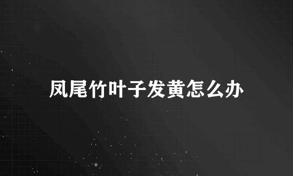 凤尾竹叶子发黄怎么办