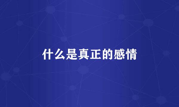 什么是真正的感情