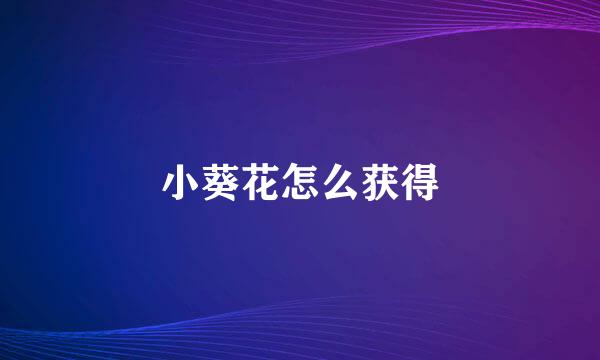 小葵花怎么获得