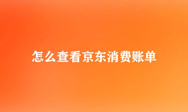 怎么查看京东消费账单