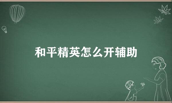 和平精英怎么开辅助