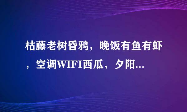枯藤老树昏鸦，晚饭有鱼有虾，空调WIFI西瓜，夕阳西下，你丑，没事，我瞎，求大师们解释，什么意思