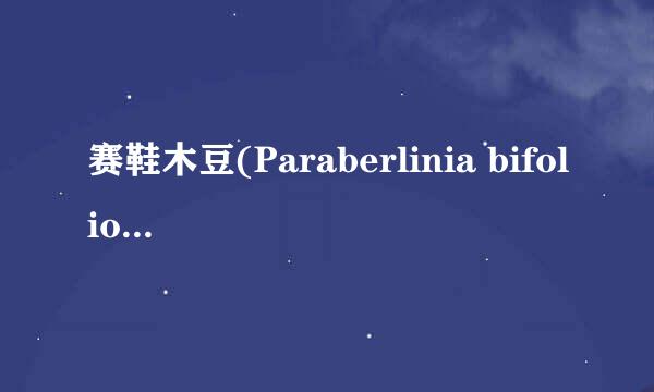 赛鞋木豆(Paraberlinia bifoliolata.)，木头云木材百科知识
