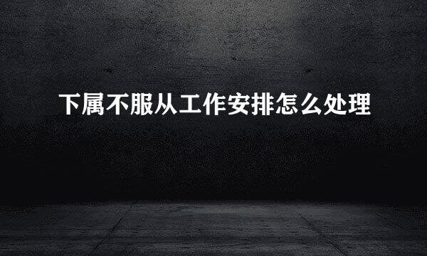 下属不服从工作安排怎么处理