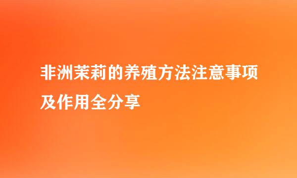 非洲茉莉的养殖方法注意事项及作用全分享