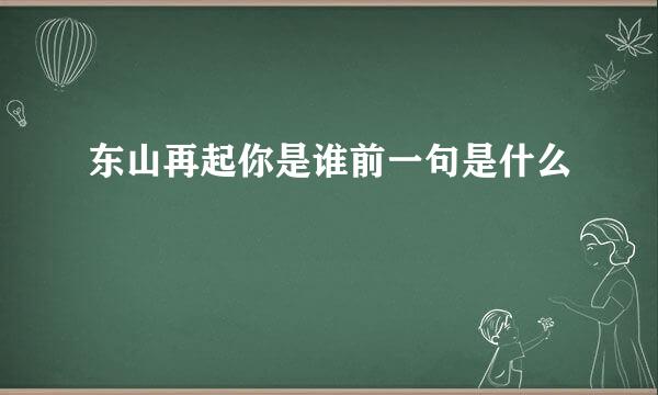 东山再起你是谁前一句是什么