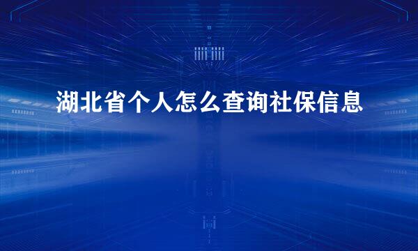 湖北省个人怎么查询社保信息
