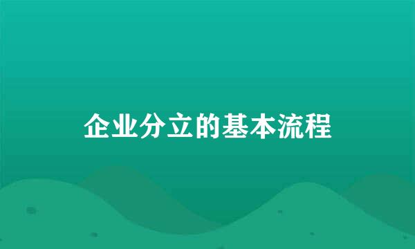 企业分立的基本流程