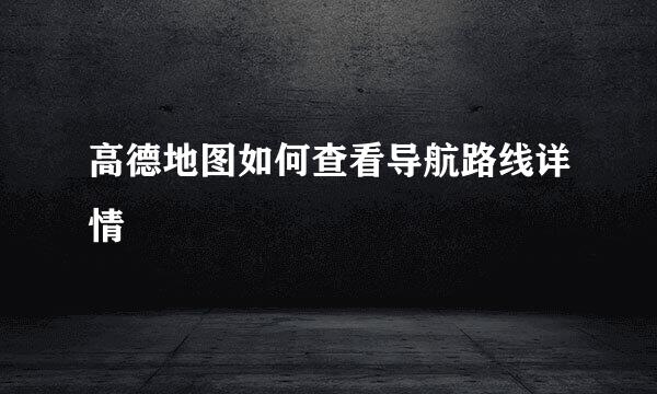 高德地图如何查看导航路线详情