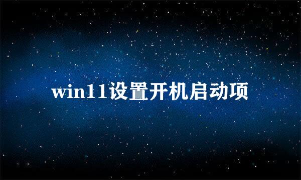 win11设置开机启动项
