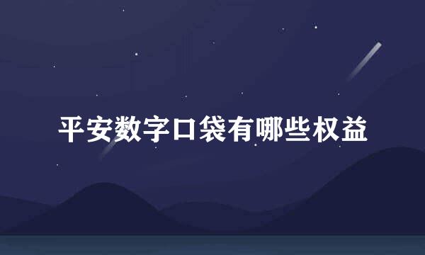 平安数字口袋有哪些权益