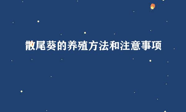 散尾葵的养殖方法和注意事项