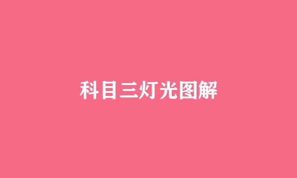 科目三灯光图解