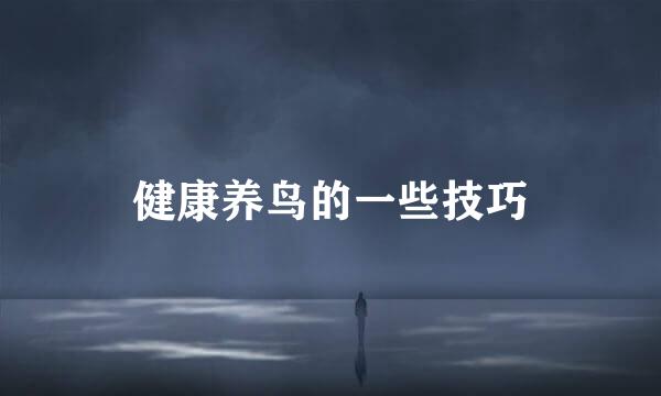 健康养鸟的一些技巧