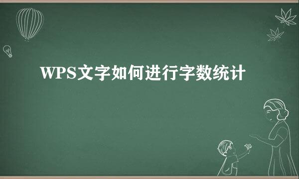 WPS文字如何进行字数统计