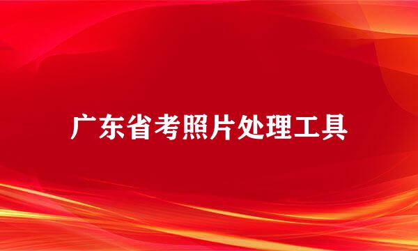 广东省考照片处理工具