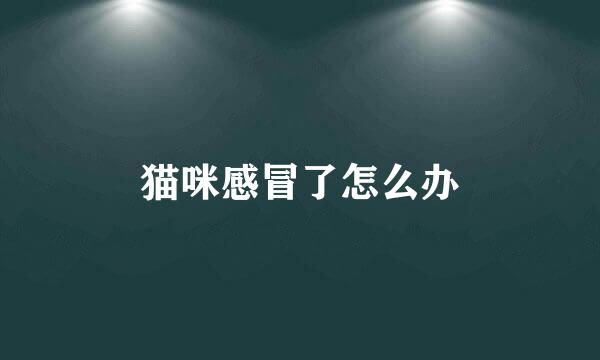 猫咪感冒了怎么办
