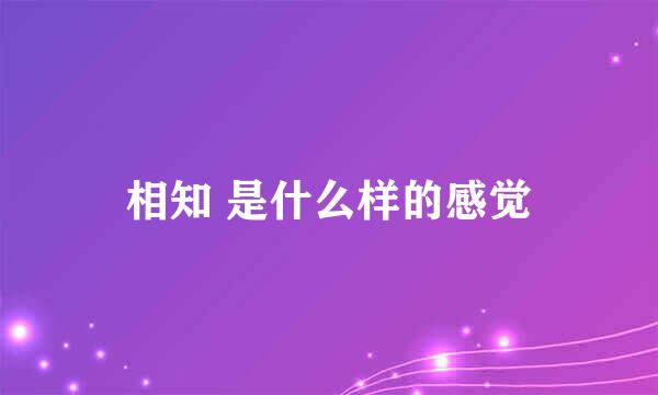 相知 是什么样的感觉