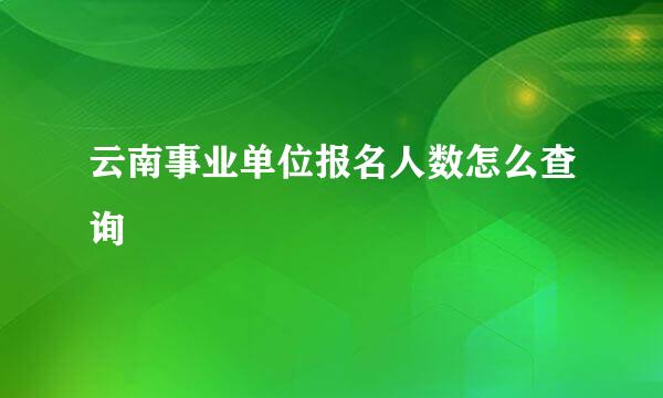 云南事业单位报名人数怎么查询