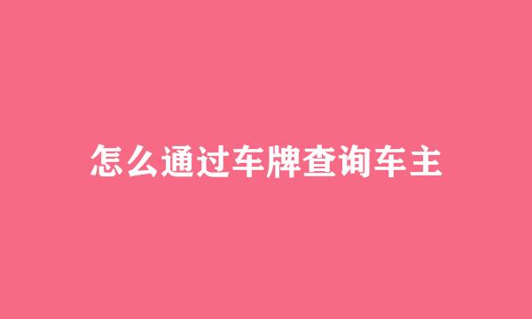 怎么通过车牌查询车主