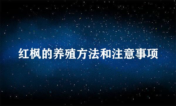 红枫的养殖方法和注意事项