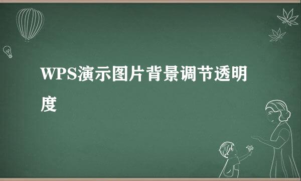 WPS演示图片背景调节透明度