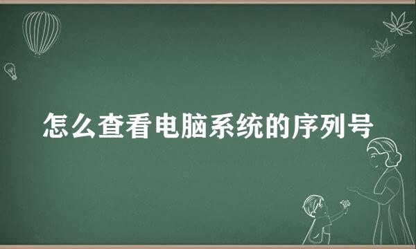 怎么查看电脑系统的序列号