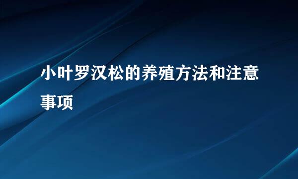 小叶罗汉松的养殖方法和注意事项