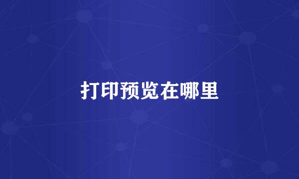 打印预览在哪里